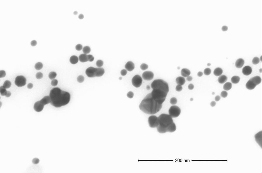 https://cdn.ncbi.nlm.nih.gov/pmc/blobs/ded4/7754594/34ff71015d79/13071_2020_4453_Fig1_HTML.jpg