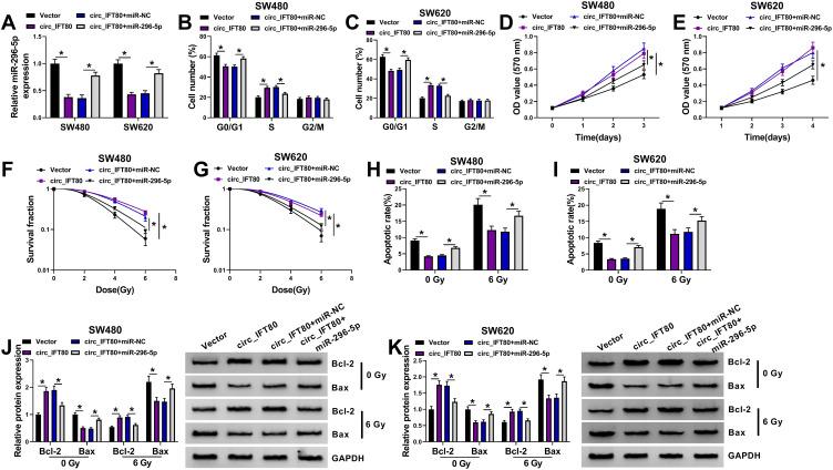 https://cdn.ncbi.nlm.nih.gov/pmc/blobs/ded6/7917334/7958a85324ae/CMAR-13-1929-g0004.jpg