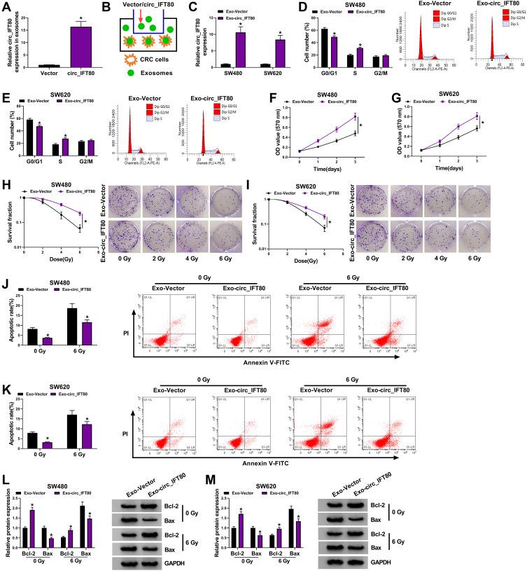 https://cdn.ncbi.nlm.nih.gov/pmc/blobs/ded6/7917334/e13f77d4c5d0/CMAR-13-1929-g0002.jpg