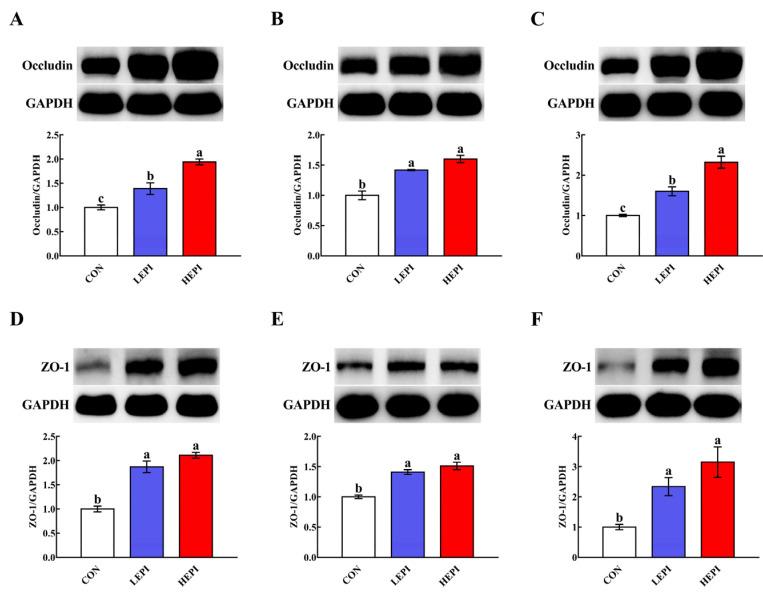 https://cdn.ncbi.nlm.nih.gov/pmc/blobs/ded6/9601572/7c2d9fb22d83/foods-11-03301-g002.jpg