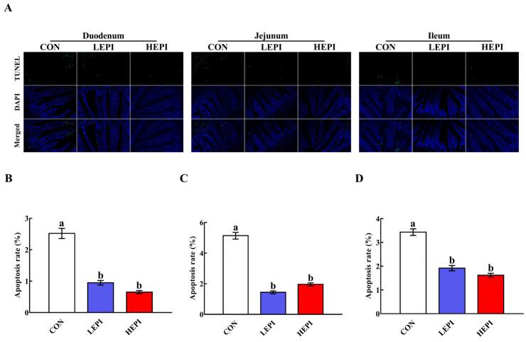https://cdn.ncbi.nlm.nih.gov/pmc/blobs/ded6/9601572/ec455622a70f/foods-11-03301-g003.jpg