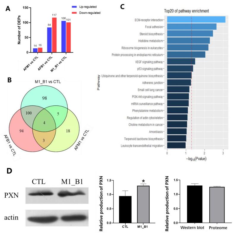 https://cdn.ncbi.nlm.nih.gov/pmc/blobs/ded7/9231300/d1684a756f60/toxins-14-00368-g004.jpg