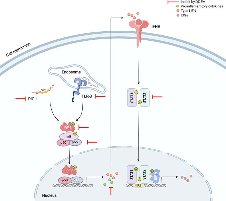https://cdn.ncbi.nlm.nih.gov/pmc/blobs/ded9/7818636/25379852bf3c/ao0c05264_0007.jpg