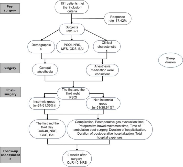 https://cdn.ncbi.nlm.nih.gov/pmc/blobs/dedb/11450051/23e7b96938eb/11325_2024_3063_Fig1_HTML.jpg
