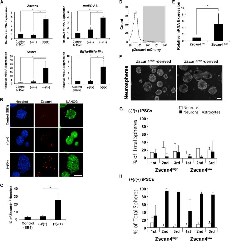 https://cdn.ncbi.nlm.nih.gov/pmc/blobs/dedb/6373546/5bbcdb856f96/gr4.jpg