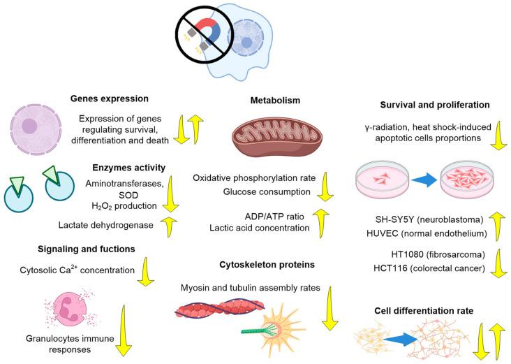 https://cdn.ncbi.nlm.nih.gov/pmc/blobs/dedc/10740674/33d50381f307/biology-12-01513-g005.jpg