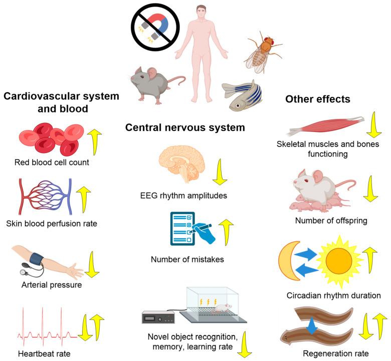 https://cdn.ncbi.nlm.nih.gov/pmc/blobs/dedc/10740674/3d2e2bc84c69/biology-12-01513-g003.jpg