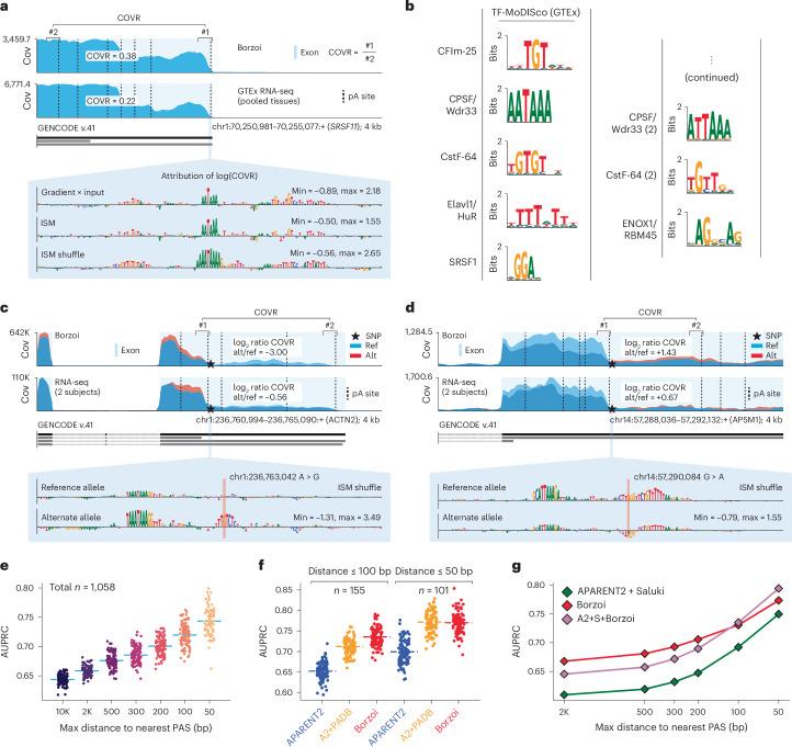https://cdn.ncbi.nlm.nih.gov/pmc/blobs/dedc/11985352/25b2cd54a64e/41588_2024_2053_Fig6_HTML.jpg