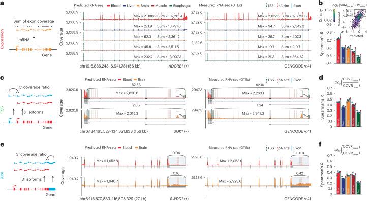 https://cdn.ncbi.nlm.nih.gov/pmc/blobs/dedc/11985352/5930063ecdef/41588_2024_2053_Fig2_HTML.jpg