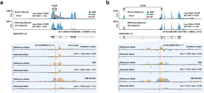 https://cdn.ncbi.nlm.nih.gov/pmc/blobs/dedc/11985352/6c608bfa5055/41588_2024_2053_Fig15_ESM.jpg