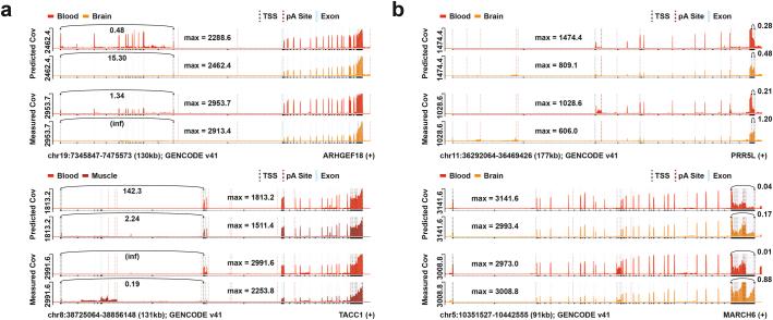 https://cdn.ncbi.nlm.nih.gov/pmc/blobs/dedc/11985352/a6300290272a/41588_2024_2053_Fig10_ESM.jpg