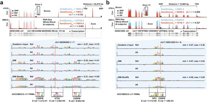 https://cdn.ncbi.nlm.nih.gov/pmc/blobs/dedc/11985352/c63e35f2f181/41588_2024_2053_Fig13_ESM.jpg
