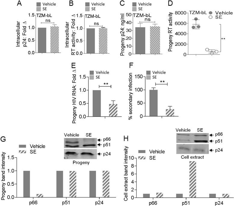 https://cdn.ncbi.nlm.nih.gov/pmc/blobs/dedf/4245725/045922f07021/12977_2014_102_Fig7_HTML.jpg