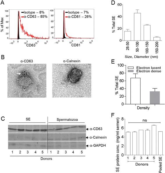 https://cdn.ncbi.nlm.nih.gov/pmc/blobs/dedf/4245725/796b4db228c8/12977_2014_102_Fig1_HTML.jpg