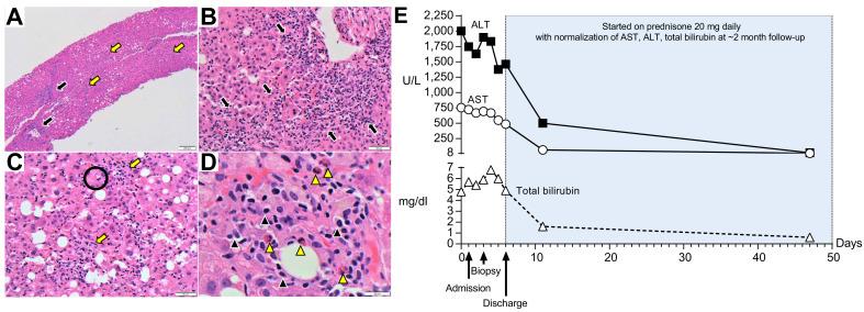 https://cdn.ncbi.nlm.nih.gov/pmc/blobs/dedf/8056822/64150ad2fa19/gr1_lrg.jpg