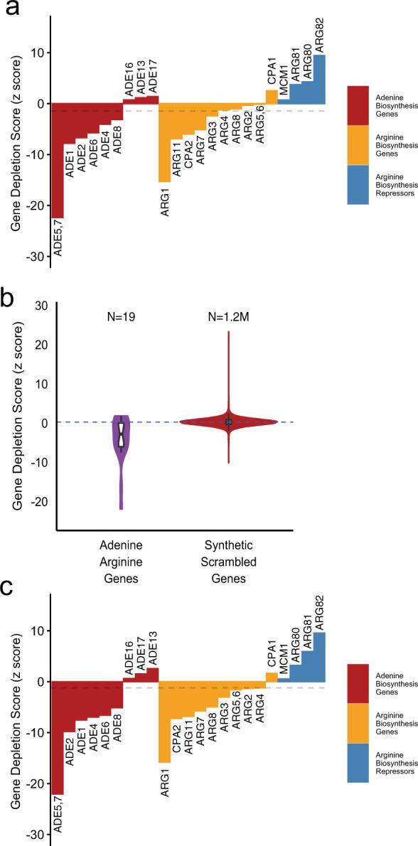 https://cdn.ncbi.nlm.nih.gov/pmc/blobs/dee0/7695836/4dd44c13c4f0/42003_2020_1452_Fig5_HTML.jpg