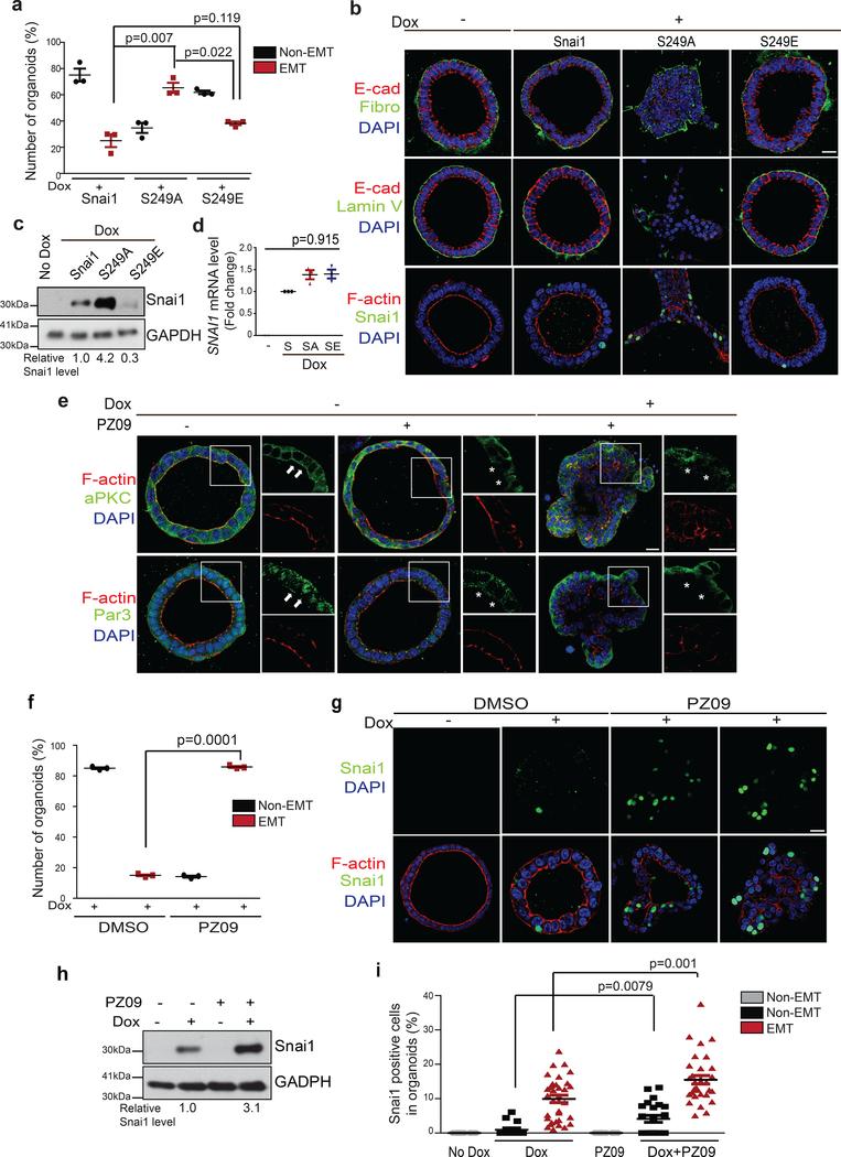https://cdn.ncbi.nlm.nih.gov/pmc/blobs/dee2/6546105/867f63cadba8/nihms-1519298-f0004.jpg