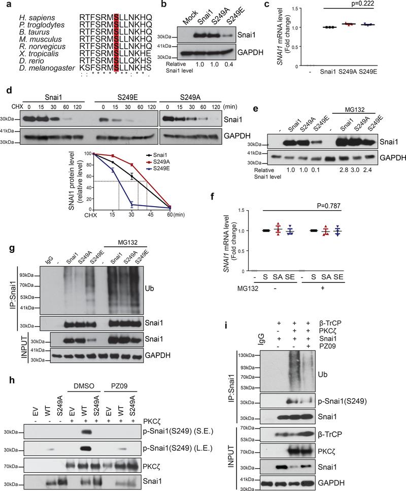 https://cdn.ncbi.nlm.nih.gov/pmc/blobs/dee2/6546105/e005274ad811/nihms-1519298-f0003.jpg