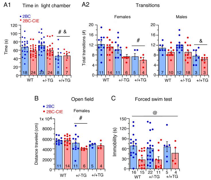 https://cdn.ncbi.nlm.nih.gov/pmc/blobs/dee3/10527024/f6e96b7a260e/cells-12-02306-g003.jpg