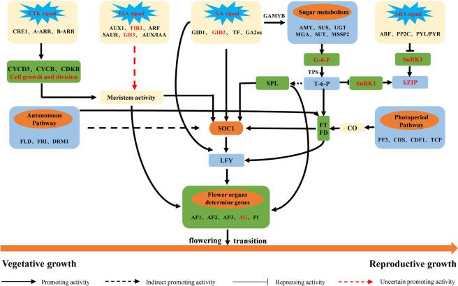 https://cdn.ncbi.nlm.nih.gov/pmc/blobs/dee6/7295807/db5ed529538c/41598_2020_66675_Fig10_HTML.jpg