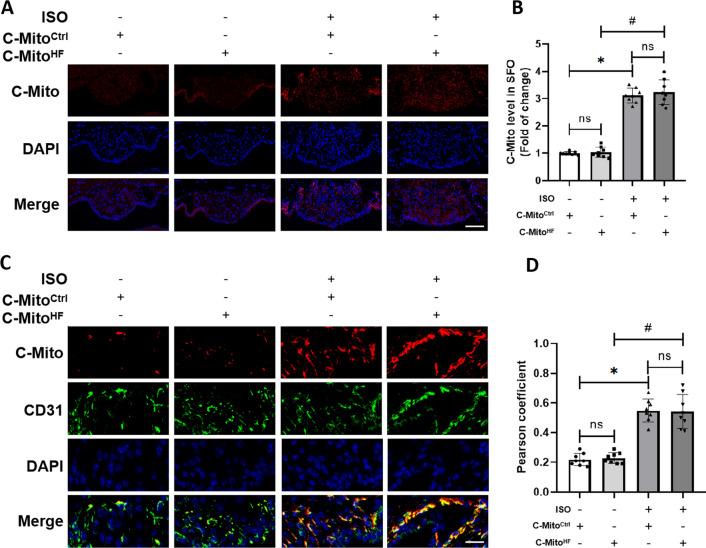https://cdn.ncbi.nlm.nih.gov/pmc/blobs/dee7/10799549/05f75b74527c/12974_2024_3013_Fig2_HTML.jpg