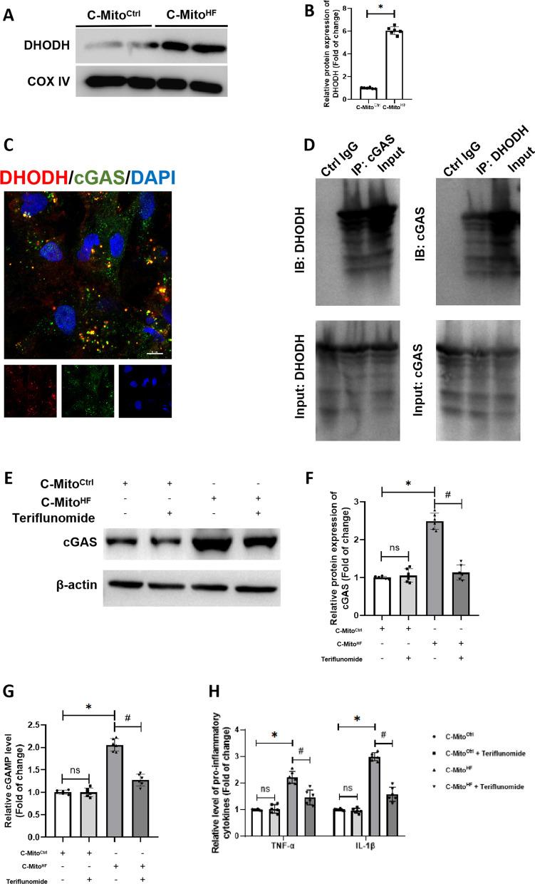 https://cdn.ncbi.nlm.nih.gov/pmc/blobs/dee7/10799549/478862dd03f9/12974_2024_3013_Fig5_HTML.jpg