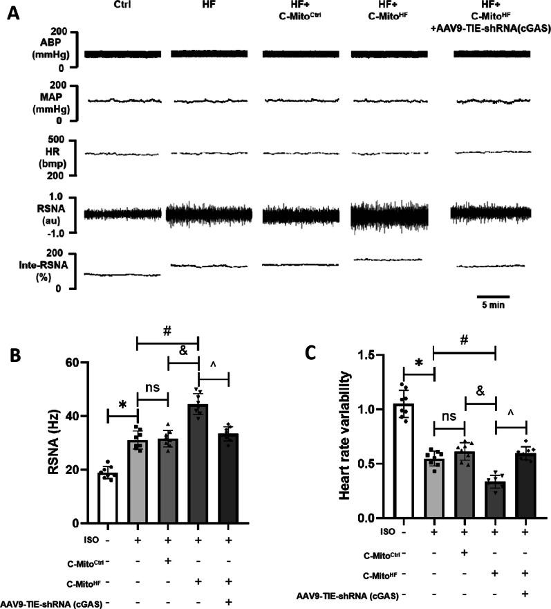 https://cdn.ncbi.nlm.nih.gov/pmc/blobs/dee7/10799549/a652c0293ce1/12974_2024_3013_Fig8_HTML.jpg