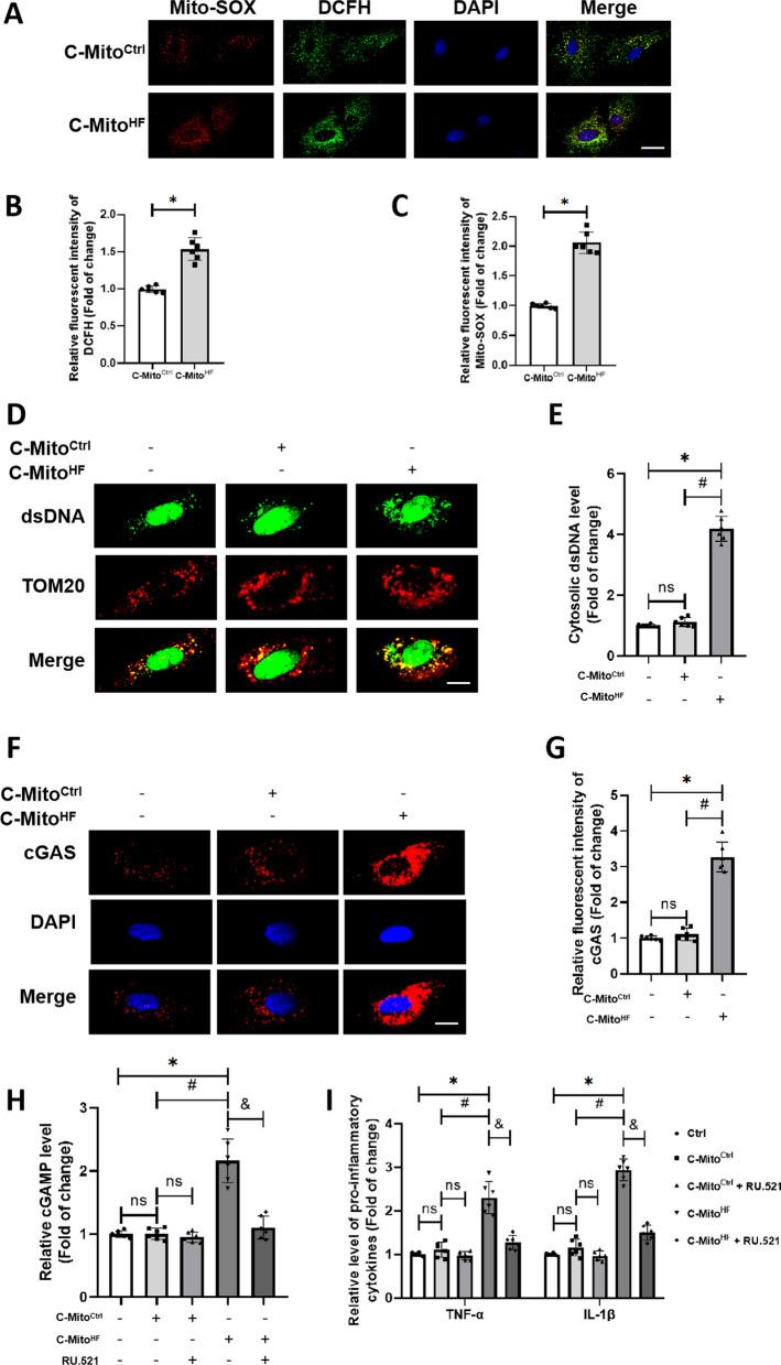 https://cdn.ncbi.nlm.nih.gov/pmc/blobs/dee7/10799549/b5ed30a7d49d/12974_2024_3013_Fig4_HTML.jpg