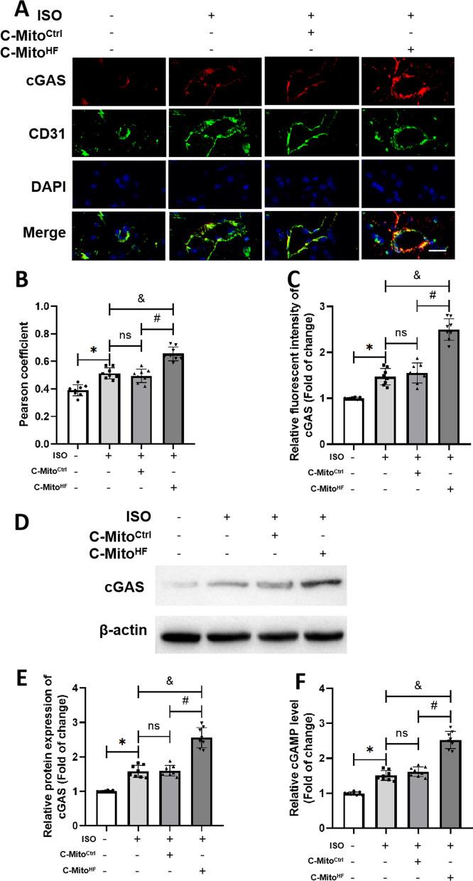 https://cdn.ncbi.nlm.nih.gov/pmc/blobs/dee7/10799549/d45bb4c4b5cc/12974_2024_3013_Fig3_HTML.jpg