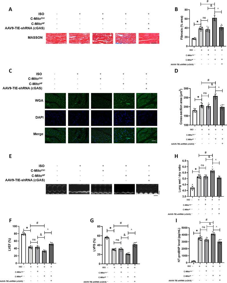 https://cdn.ncbi.nlm.nih.gov/pmc/blobs/dee7/10799549/d5f7dade9a23/12974_2024_3013_Fig10_HTML.jpg