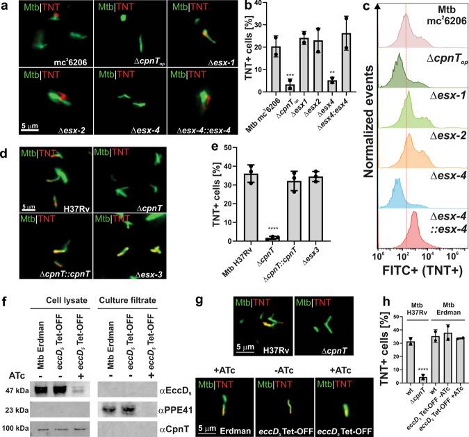 https://cdn.ncbi.nlm.nih.gov/pmc/blobs/dee7/8593097/0d42609d443f/41467_2021_26925_Fig2_HTML.jpg