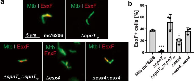 https://cdn.ncbi.nlm.nih.gov/pmc/blobs/dee7/8593097/1a2c1994035c/41467_2021_26925_Fig3_HTML.jpg