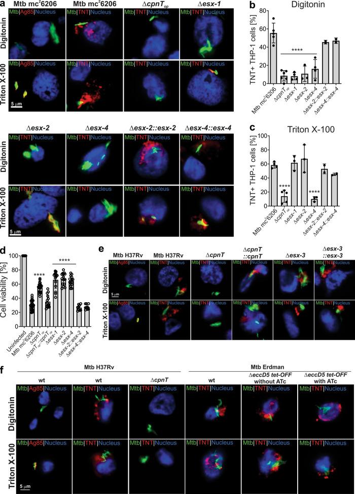 https://cdn.ncbi.nlm.nih.gov/pmc/blobs/dee7/8593097/594af132694b/41467_2021_26925_Fig4_HTML.jpg