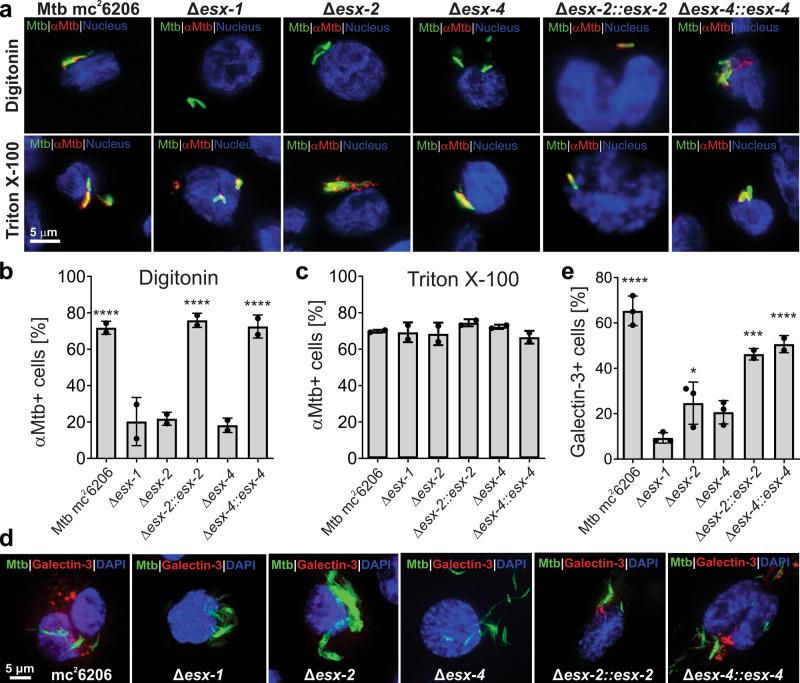 https://cdn.ncbi.nlm.nih.gov/pmc/blobs/dee7/8593097/c2cbfd9eb13d/41467_2021_26925_Fig5_HTML.jpg