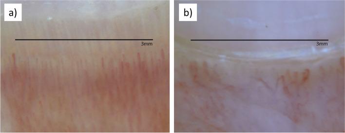 https://cdn.ncbi.nlm.nih.gov/pmc/blobs/dee8/10571265/ee37c0186364/12969_2023_903_Fig2_HTML.jpg