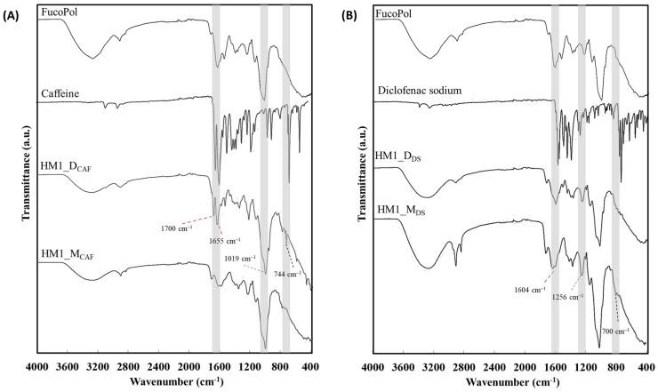 https://cdn.ncbi.nlm.nih.gov/pmc/blobs/dee9/10572272/2b41755a1ddb/ijms-24-14591-g002.jpg