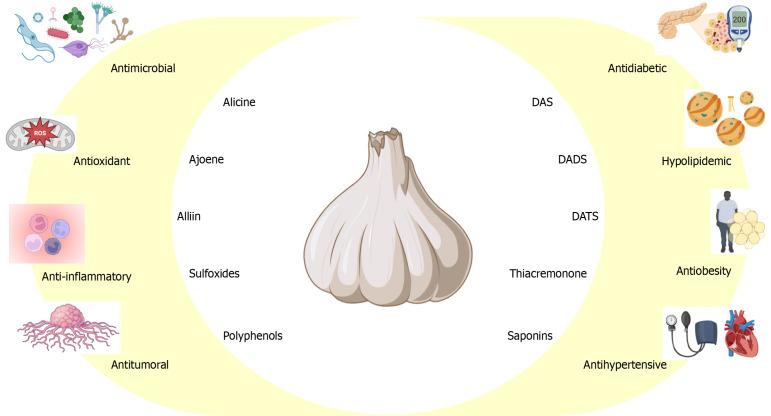 https://cdn.ncbi.nlm.nih.gov/pmc/blobs/deea/12019609/6a4a46caf934/103481-g001.jpg