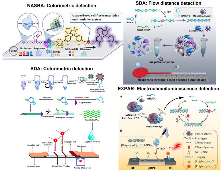 https://cdn.ncbi.nlm.nih.gov/pmc/blobs/deeb/10526735/a05864dca0ea/biosensors-13-00885-g006.jpg