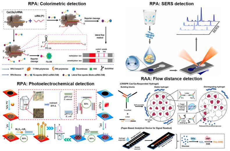 https://cdn.ncbi.nlm.nih.gov/pmc/blobs/deeb/10526735/a360ba88cece/biosensors-13-00885-g003.jpg