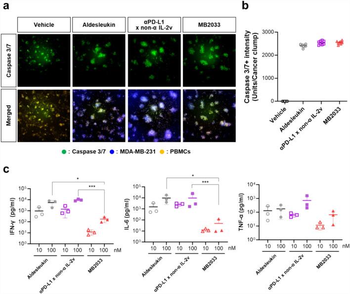 https://cdn.ncbi.nlm.nih.gov/pmc/blobs/deeb/11150458/a44008db32c7/262_2024_3742_Fig5_HTML.jpg