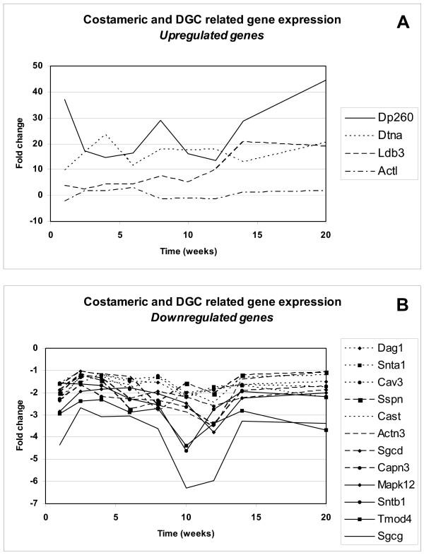 https://cdn.ncbi.nlm.nih.gov/pmc/blobs/deeb/1190170/7f6eeb4f95c5/1471-2164-6-98-2.jpg