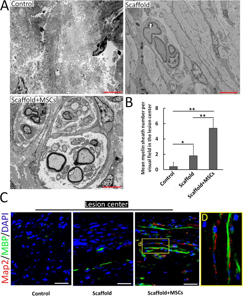 https://cdn.ncbi.nlm.nih.gov/pmc/blobs/deec/5337930/fd98051d9279/srep43559-f5.jpg