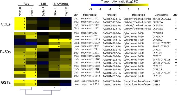 https://cdn.ncbi.nlm.nih.gov/pmc/blobs/deed/5393893/c00d5ba5b6c1/pntd.0005526.g002.jpg