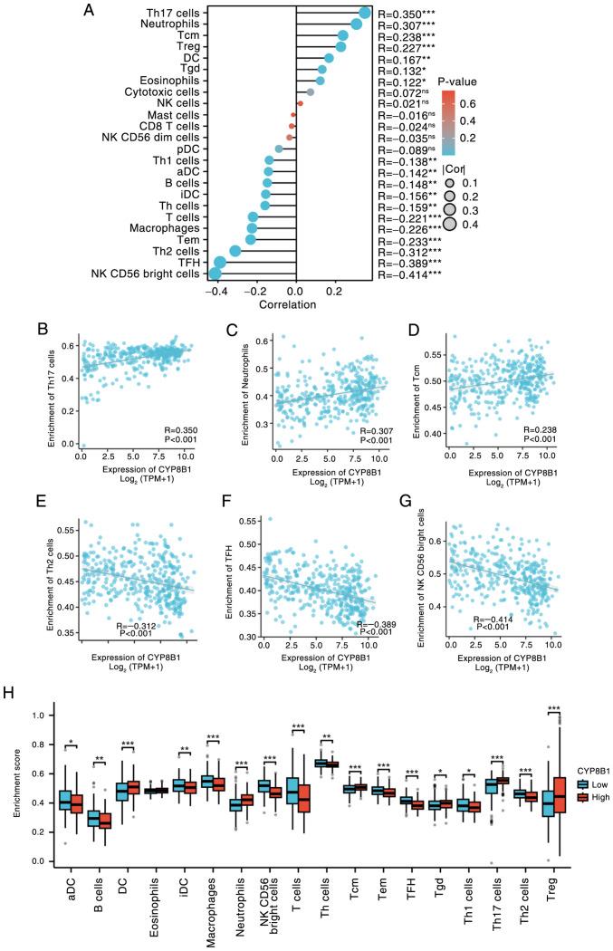 https://cdn.ncbi.nlm.nih.gov/pmc/blobs/deee/12239067/1cabe7e5b3a1/or-54-03-08937-g02.jpg