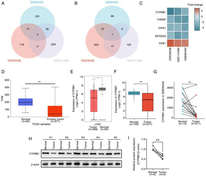 https://cdn.ncbi.nlm.nih.gov/pmc/blobs/deee/12239067/8c28712bf2b3/or-54-03-08937-g00.jpg