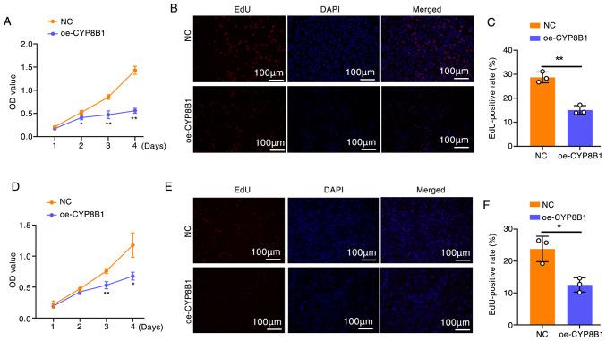 https://cdn.ncbi.nlm.nih.gov/pmc/blobs/deee/12239067/e5383d576683/or-54-03-08937-g04.jpg