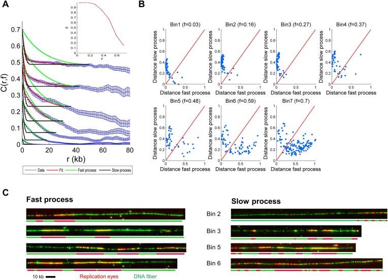https://cdn.ncbi.nlm.nih.gov/pmc/blobs/deef/11781033/a04f467f4365/gkaf007fig3.jpg