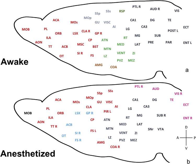 https://cdn.ncbi.nlm.nih.gov/pmc/blobs/def0/5526447/40cac27b9a02/nihms882783f7.jpg