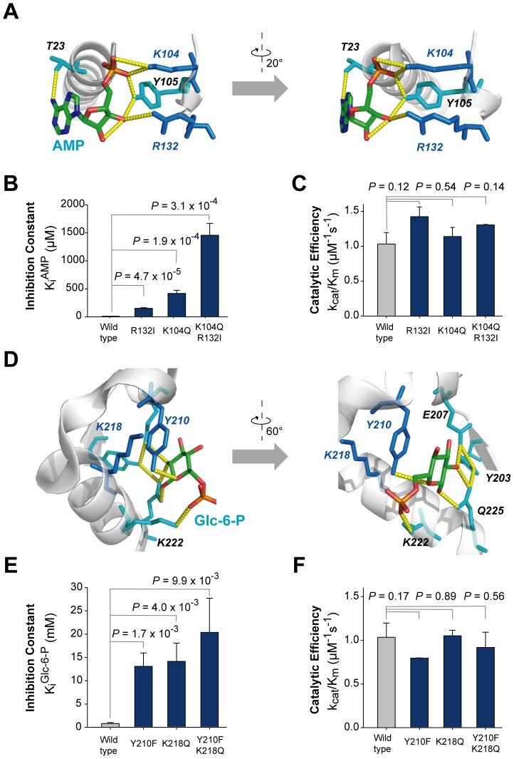 https://cdn.ncbi.nlm.nih.gov/pmc/blobs/def1/3395594/13b041cbee44/pcbi.1002612.g004.jpg