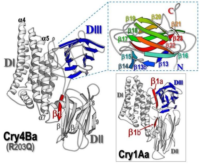 https://cdn.ncbi.nlm.nih.gov/pmc/blobs/def3/6410236/f66efa962e06/toxins-11-00062-g001.jpg